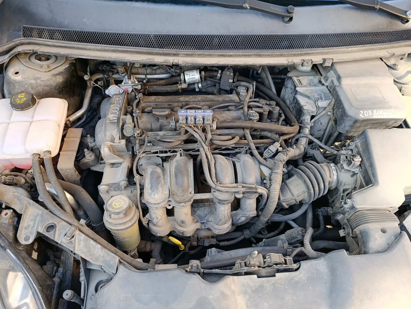 Ford Focus 1.6 116 | Mobile.bg   11