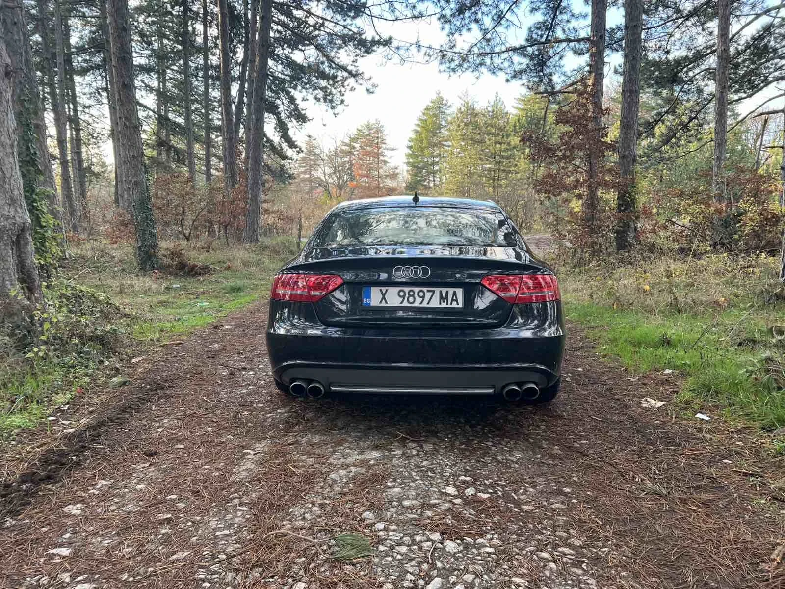 Audi A5 3.0TDI 240 - изображение 3