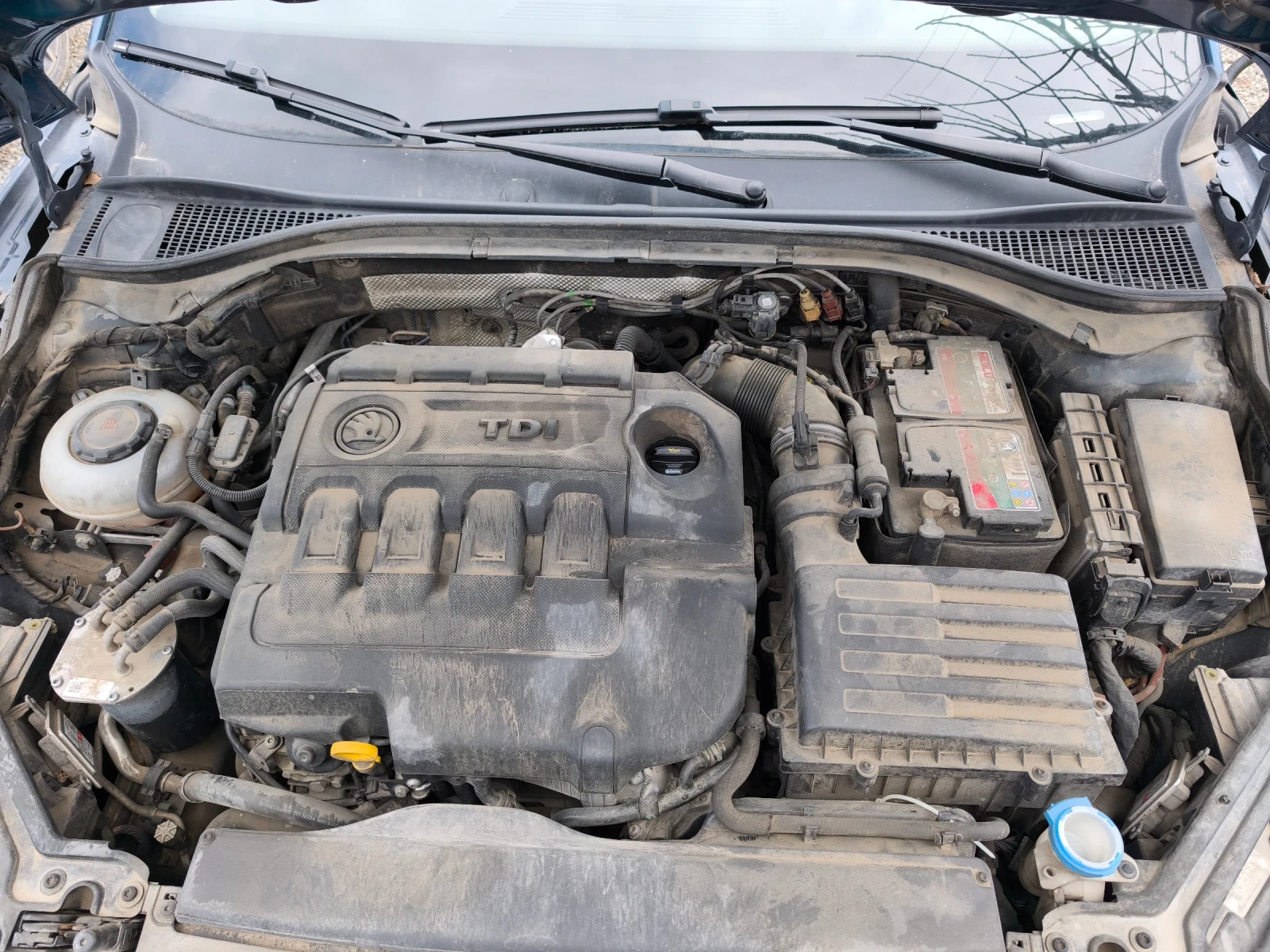 Skoda Superb L&K, Digital 4x4 | Mobile.bg � ����������� 16