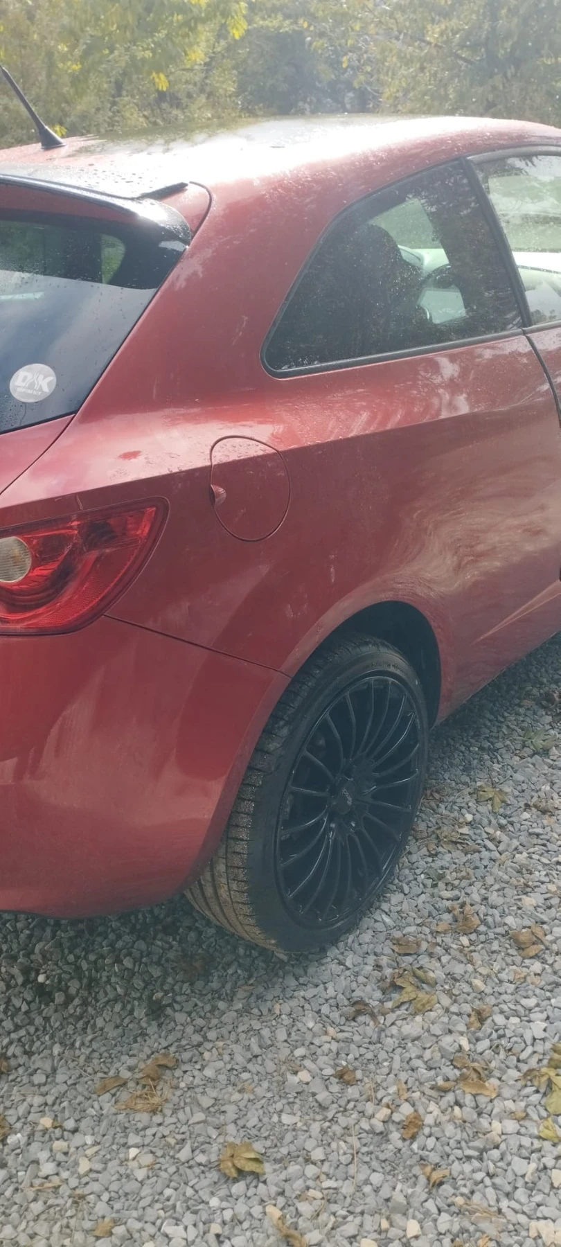 Seat Ibiza Bocanegra, снимка 9 - Автомобили и джипове - 56604692