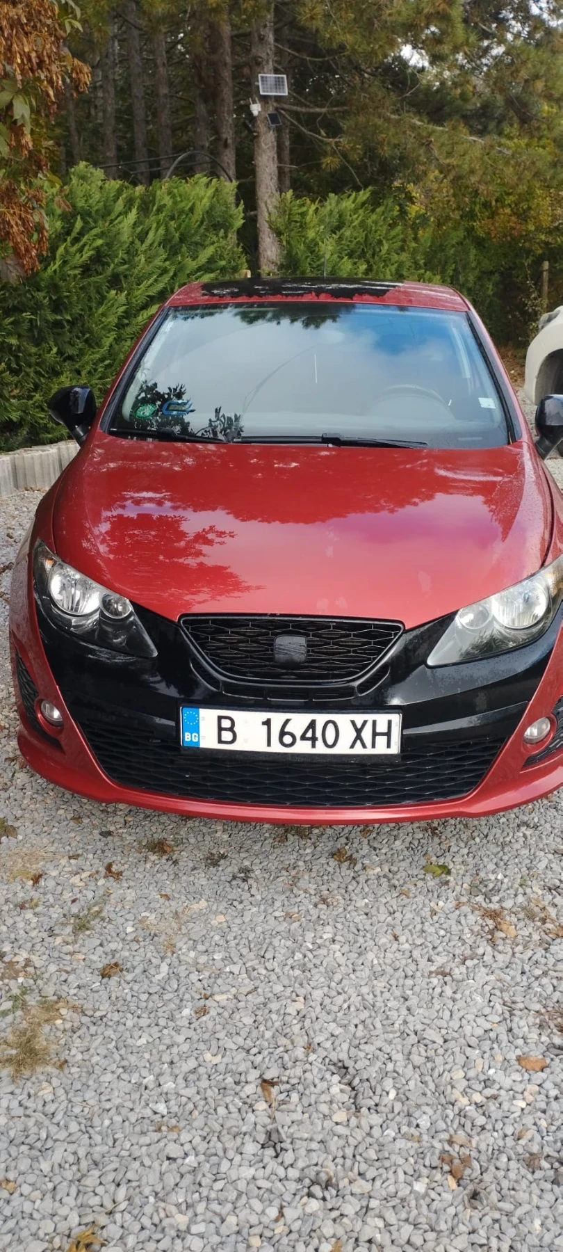Seat Ibiza Bocanegra