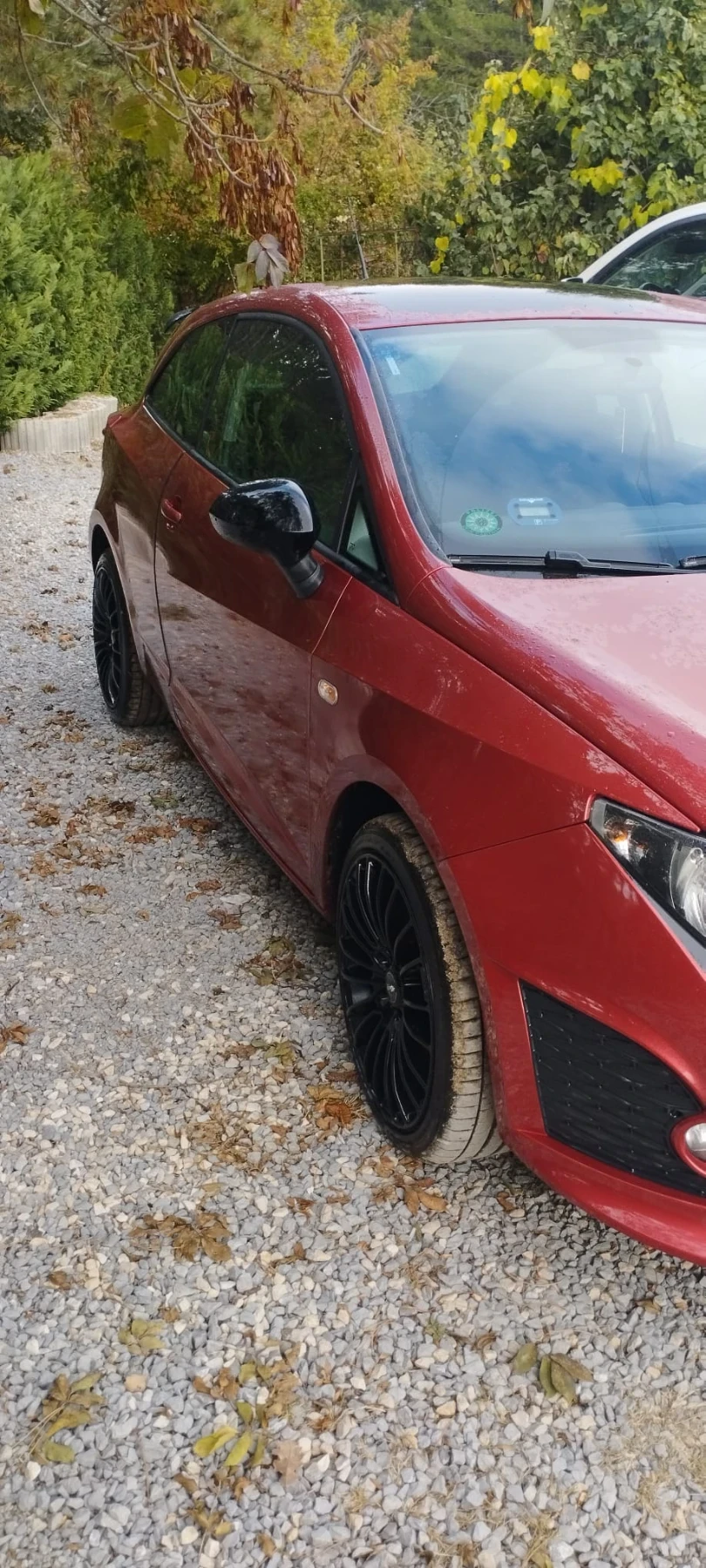 Seat Ibiza Bocanegra, снимка 5 - Автомобили и джипове - 56604692