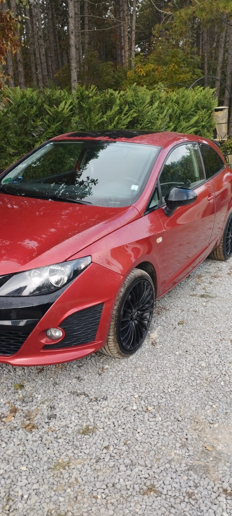 Seat Ibiza Bocanegra, снимка 11 - Автомобили и джипове - 56604692
