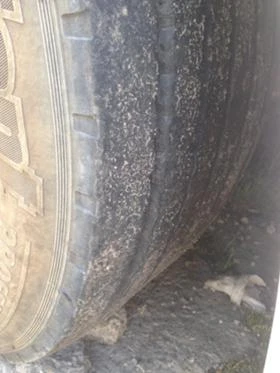 Man Tga 18.460, снимка 12