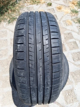      205/50R17
