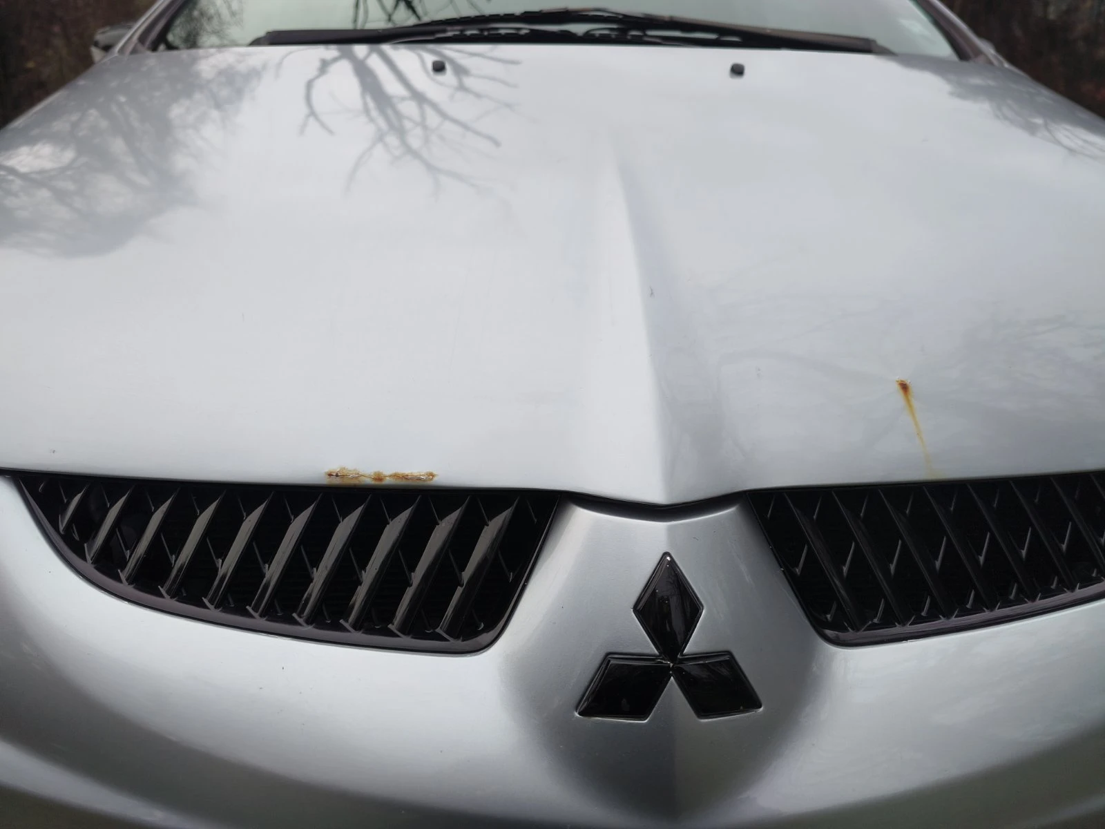 Mitsubishi Grandis | Mobile.bg   9