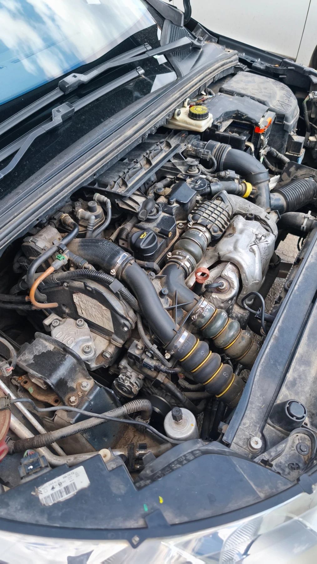 Citroen C4 1, 6 HDI EXCLUSIVE  | Mobile.bg � ����������� 16