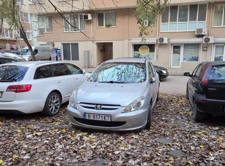 Peugeot 307 | Mobile.bg   1