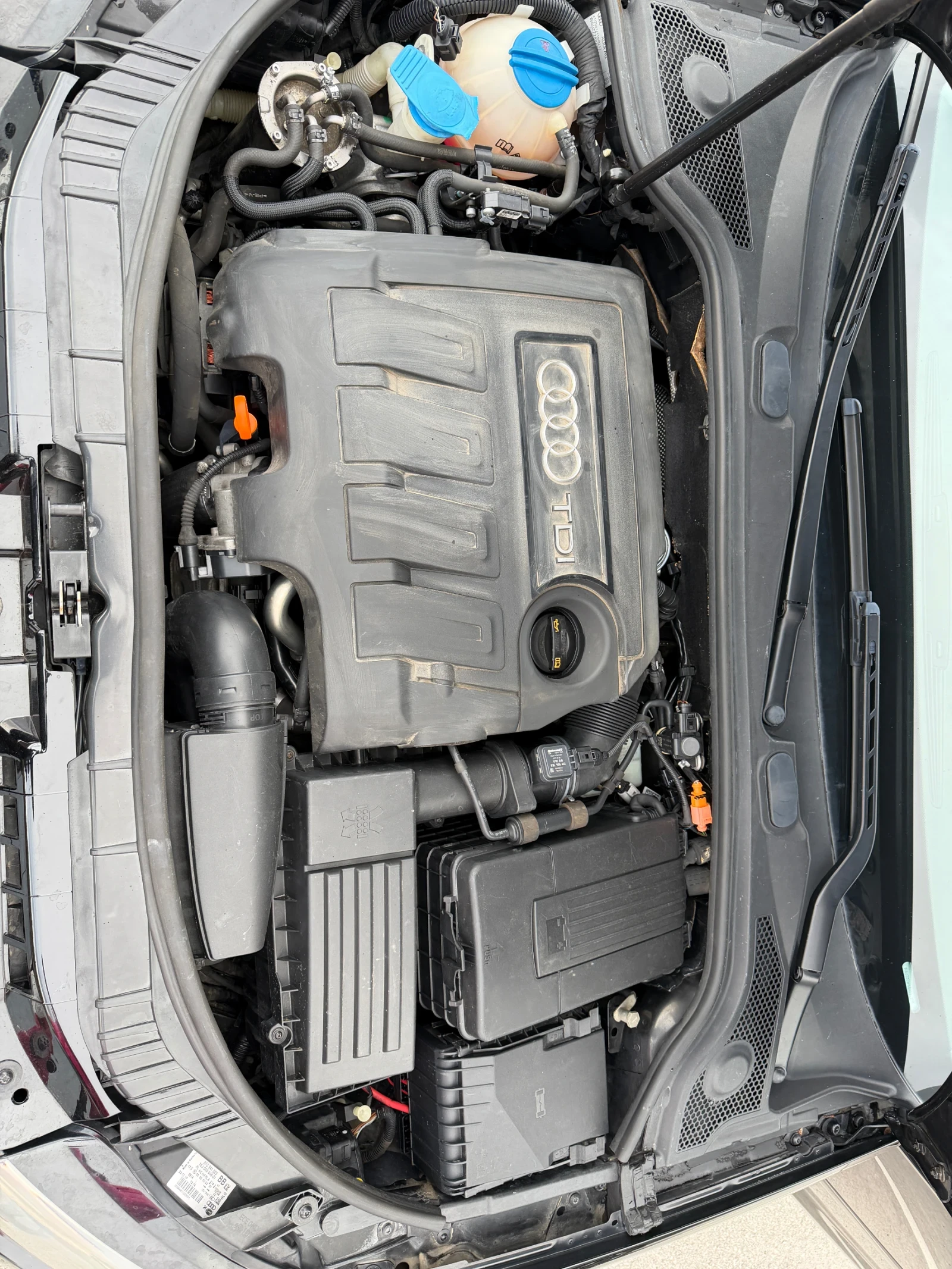 Audi A3 Audi A3 facelift 1.6 TDI 2009 премиум, снимка 12 - Автомобили и джипове - 53965763