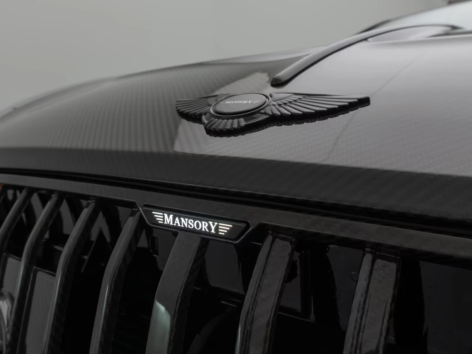 Bentley Continental gt SPEED/ 1OF1 MANSORY/FACELIFT/FIRST EDITION/NAIM/, снимка 8 - Автомобили и джипове - 54079252