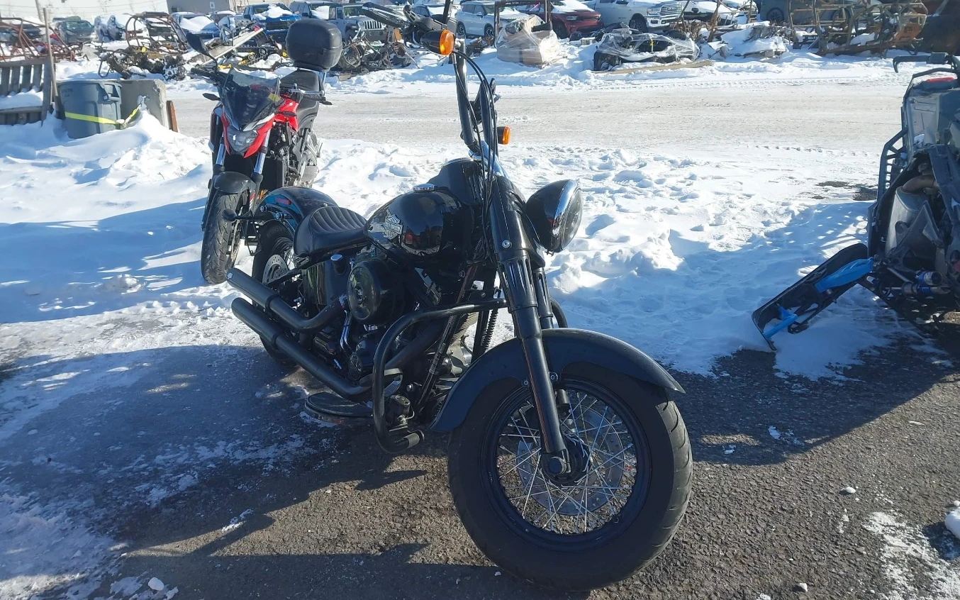 Harley-Davidson Softail FLS softail slim 103ci - изображение 4