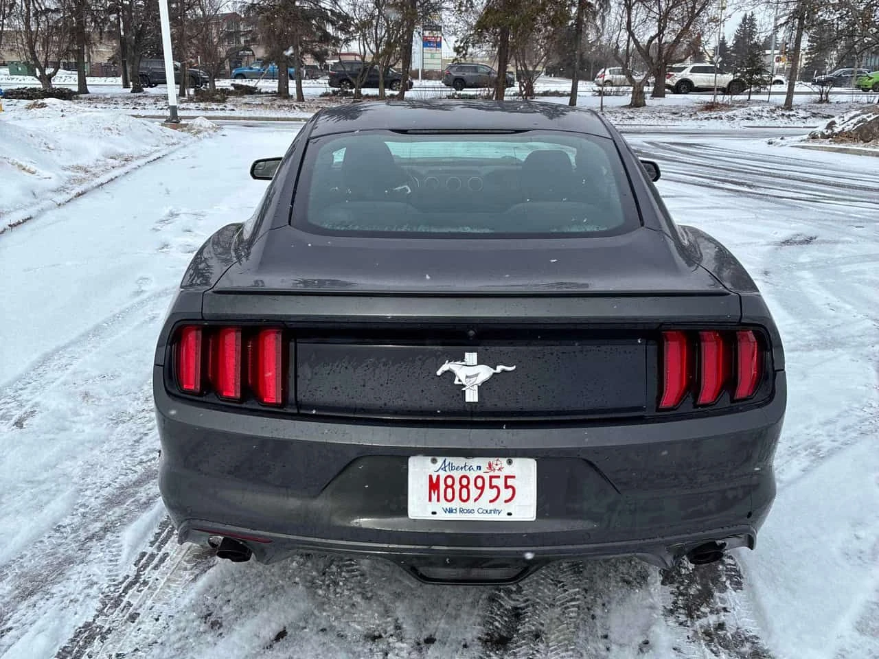 Ford Mustang V6 | KEYLESS ENTRY| CARFAX| БЕЗ ПЪРВОНАЧАЛ ВНОСКА, снимка 5 - Автомобили и джипове - 53881075