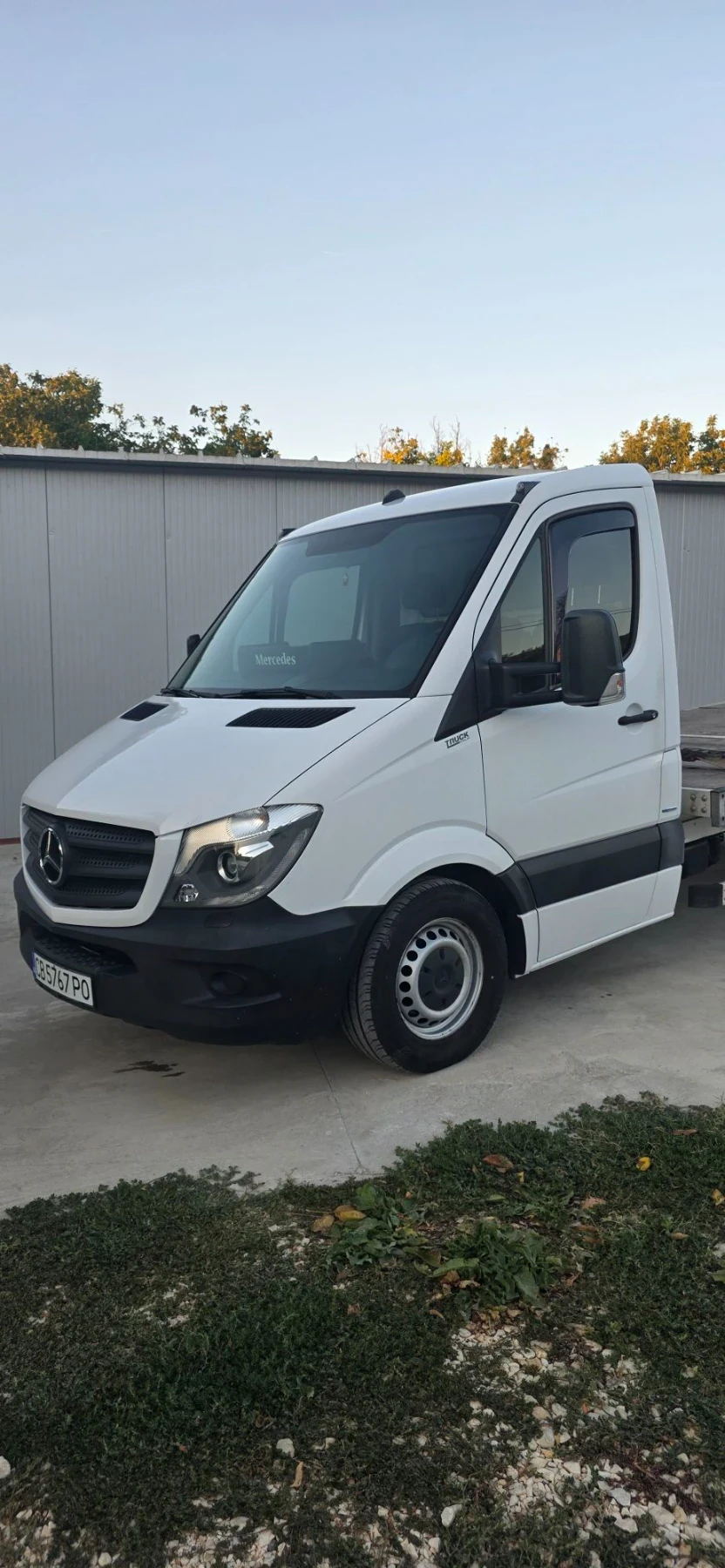 Mercedes-Benz Sprinter 319, снимка 2 - Бусове и автобуси - 55971280