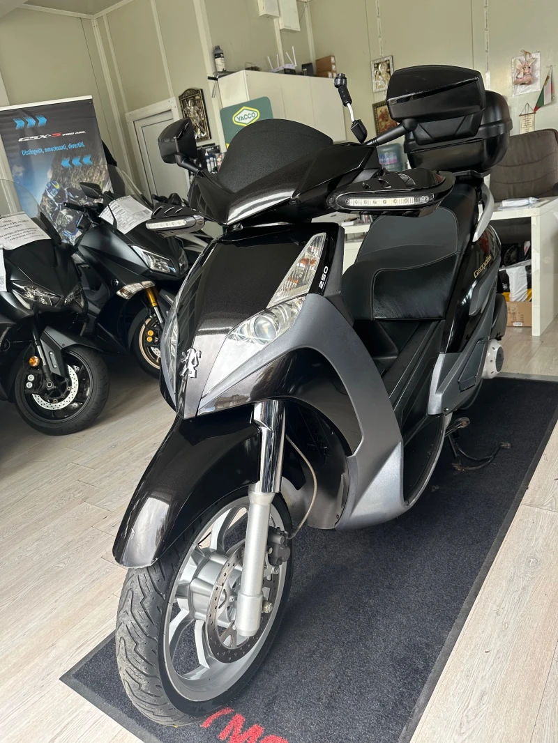 Peugeot Geopolis 250i ABS , снимка 8 - Мотоциклети и мототехника - 52168023