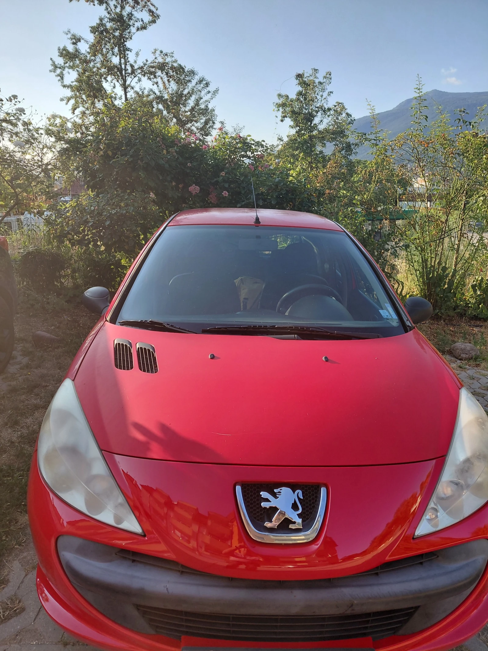 Peugeot 206, снимка 2 - Автомобили и джипове - 55513272