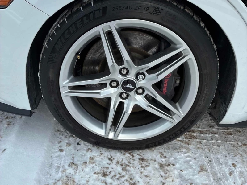 Ford Mustang * GT * CARFAX * БЕЗ ПЪРВОНАЧАЛНА ВНОСКА, снимка 7 - Автомобили и джипове - 52976128