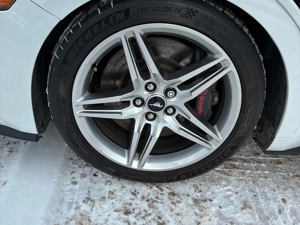 Ford Mustang * GT * CARFAX * ��� ������������ ������ | Mobile.bg � ����������� 7