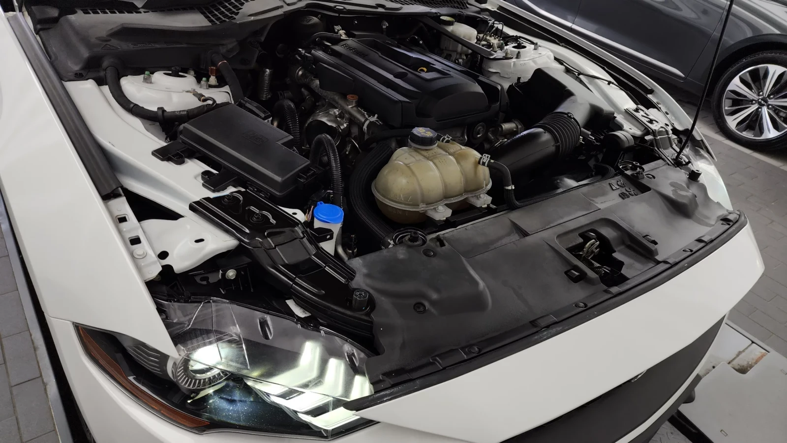 Ford Mustang 2.3L EcoBoost / Navi / Camera, снимка 9 - Автомобили и джипове - 54650562