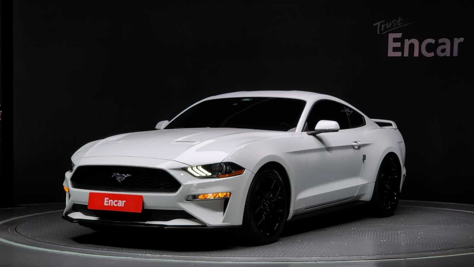 Ford Mustang 2.3L EcoBoost / Navi / Camera
