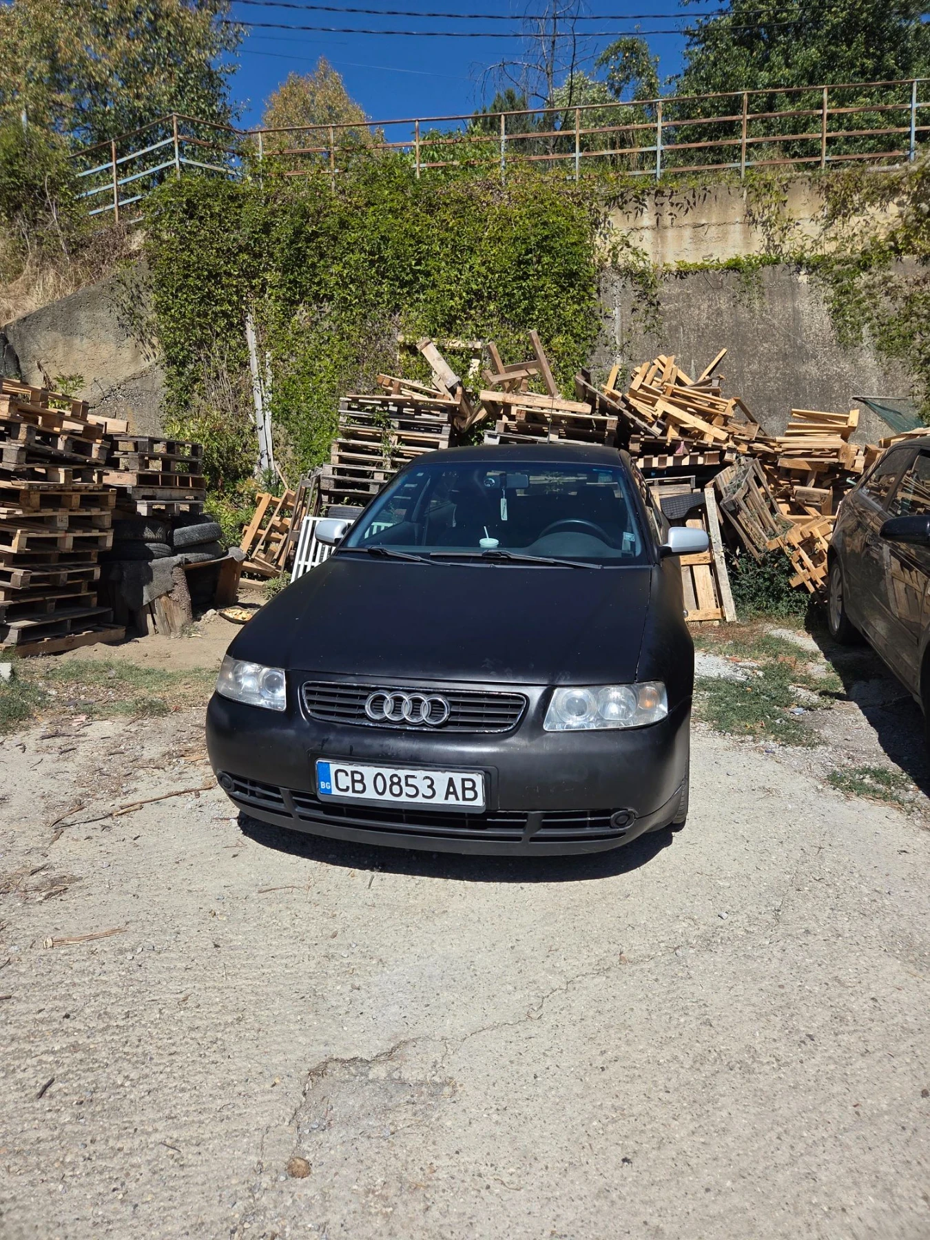 Audi A3 1.9TDI, снимка 5 - Автомобили и джипове - 56458591