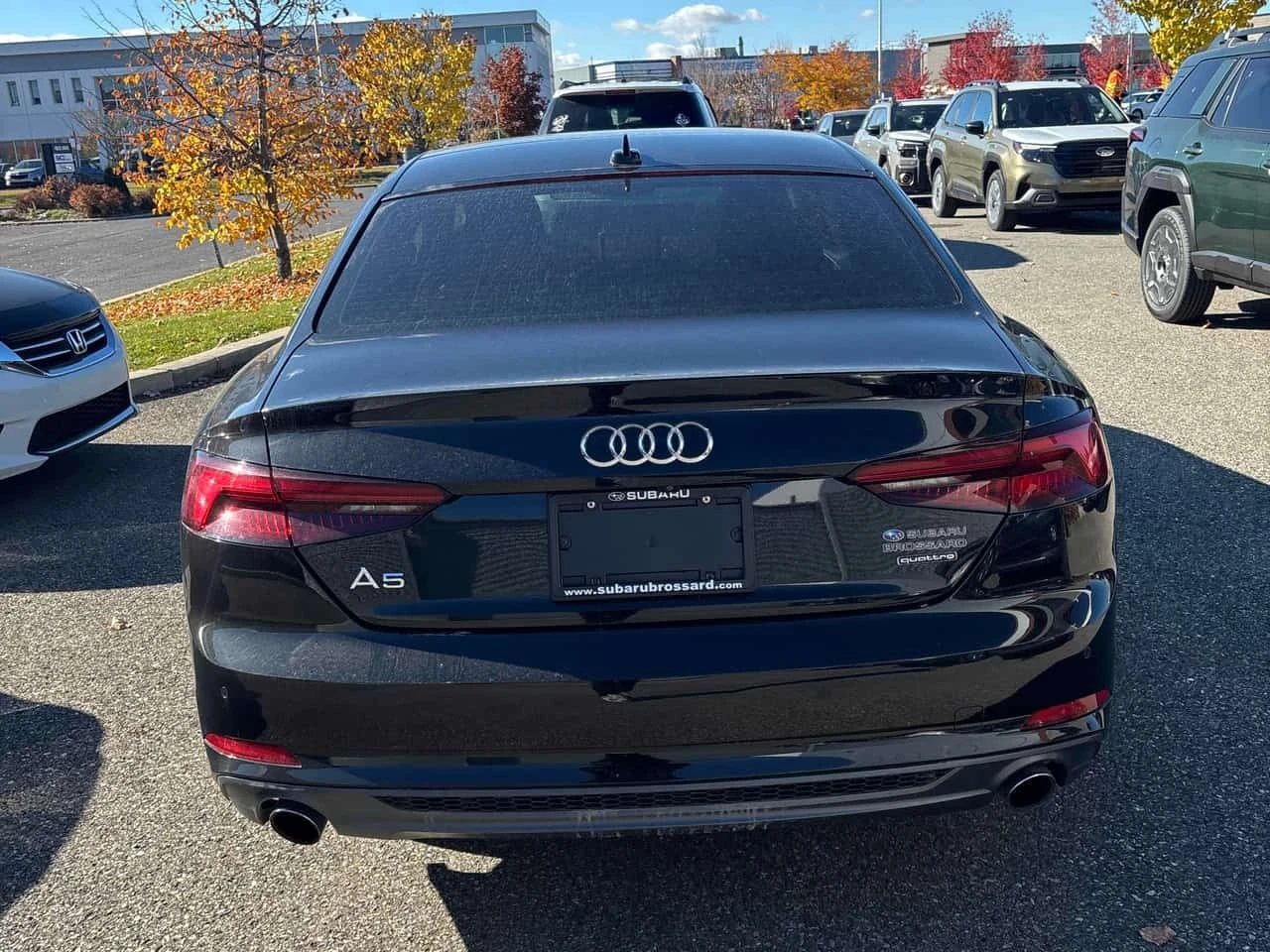 Audi Coupe Progressiv/CARFAX/Панорама/Памет/Подгрев/, снимка 4 - Автомобили и джипове - 56687727