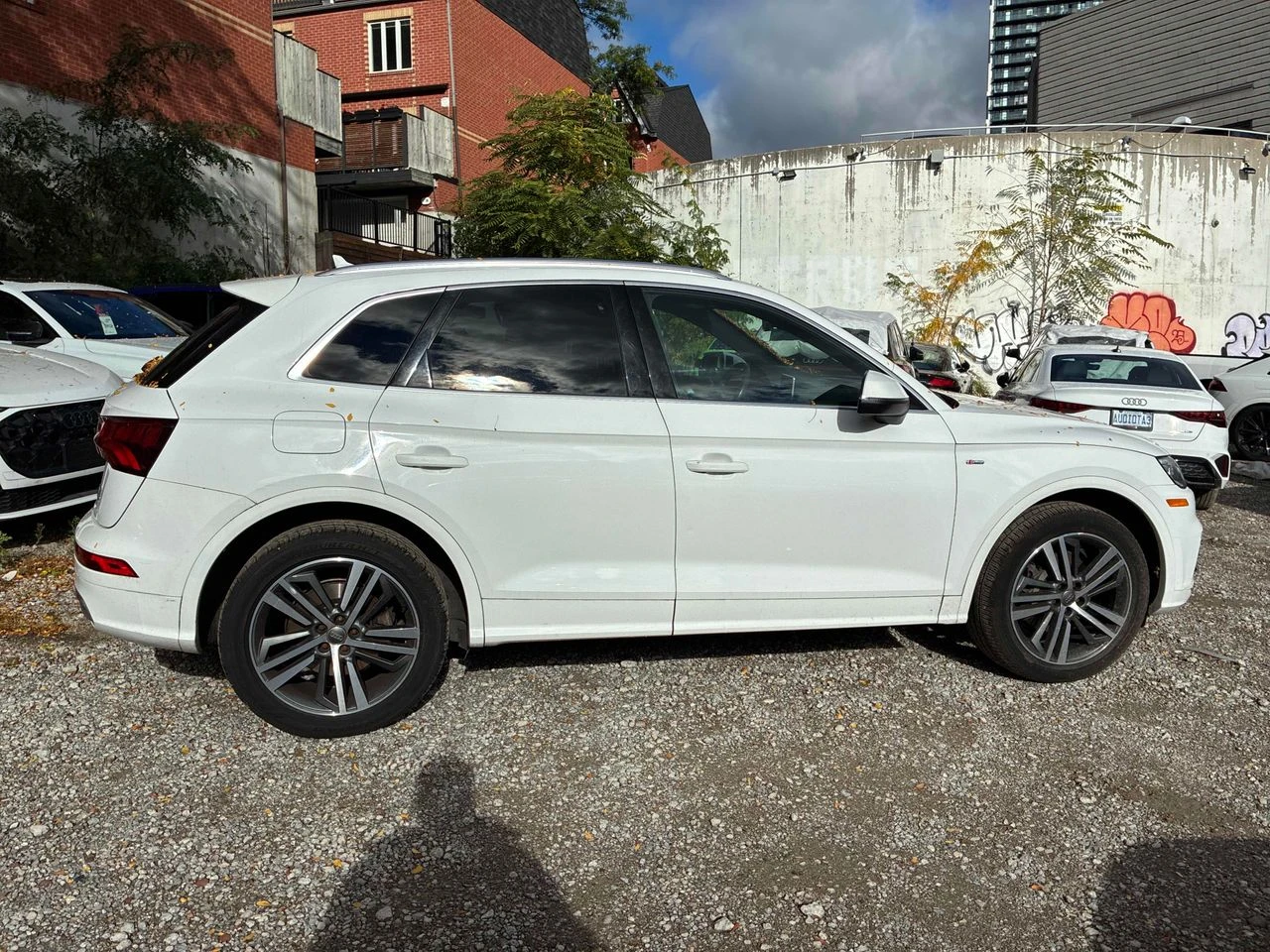 Audi Q5 Progressiv | Mobile.bg � ����������� 3