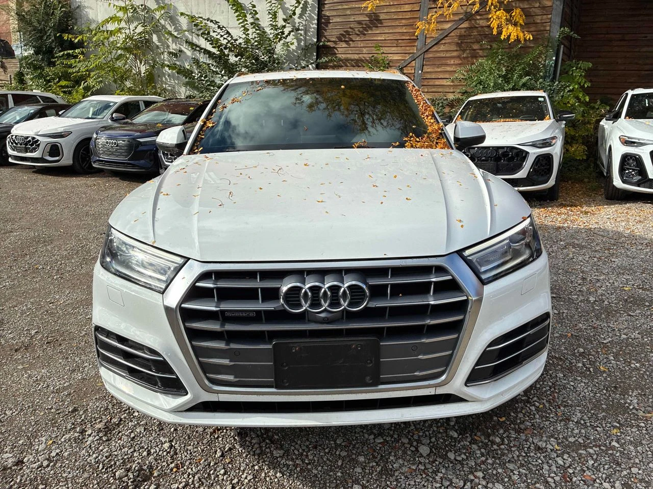 Audi Q5 Progressiv | Mobile.bg � ����������� 6