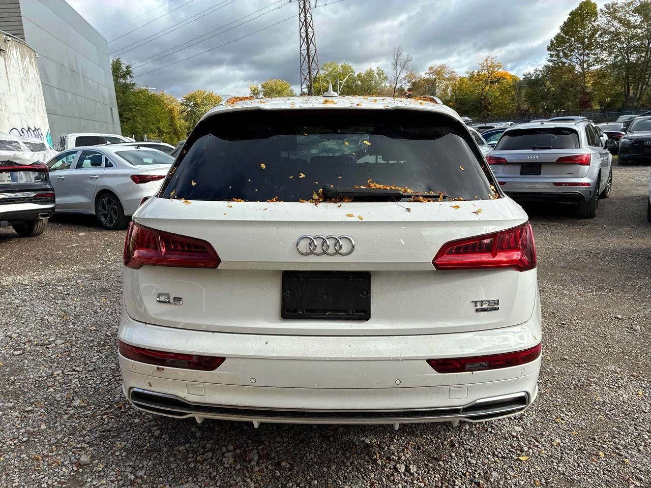 Audi Q5 Progressiv | Mobile.bg � ����������� 4