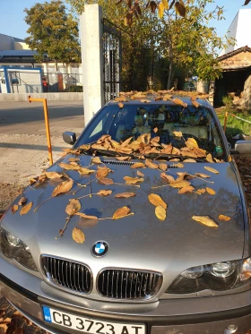 BMW 325 46 | Mobile.bg    10