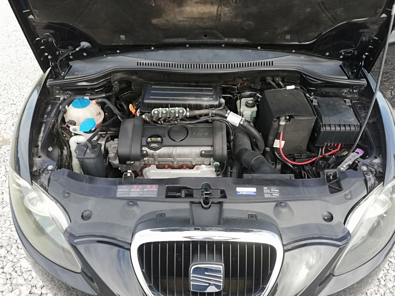 Seat Leon 1.4I GAZ KLIMA ITALI, снимка 15 - Автомобили и джипове - 54921701