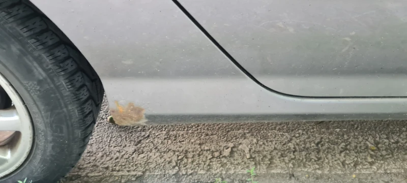 Peugeot 308 2, 0 HDi 136, снимка 12 - Автомобили и джипове - 51332327