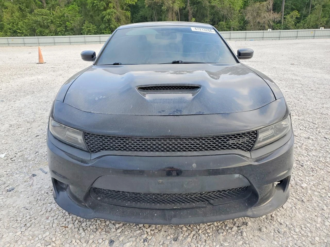 Dodge Charger 6.4l R, снимка 5 - Автомобили и джипове - 54730556