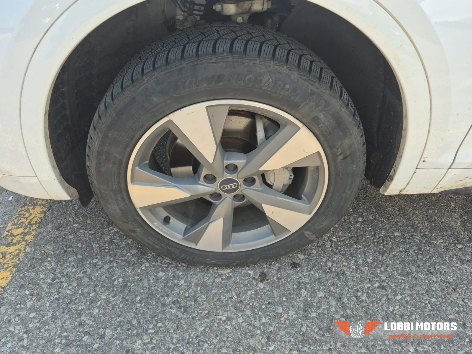 Audi Q5, снимка 4 - Автомобили и джипове - 56436009