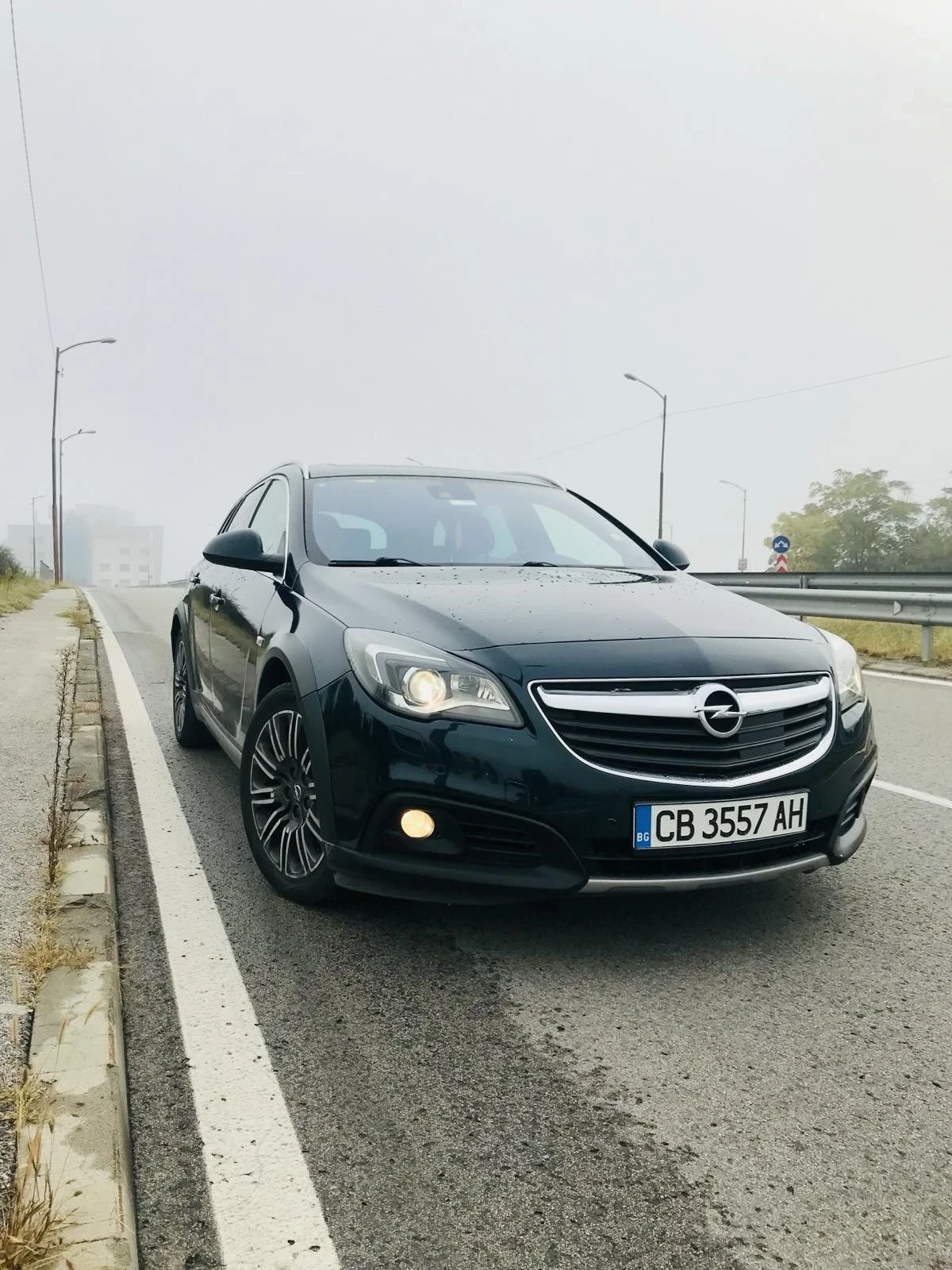 Opel Insignia, снимка 3 - Автомобили и джипове - 56256812