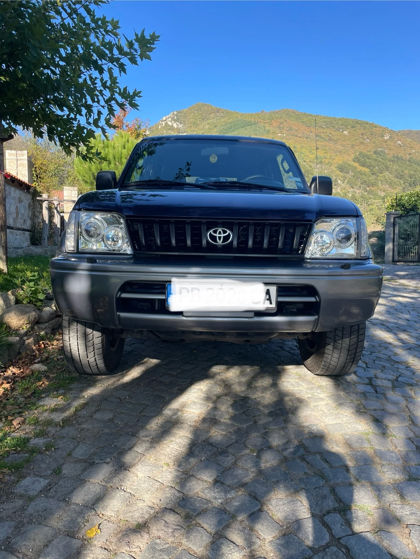 Toyota Land cruiser Prado 90 - изображение 3