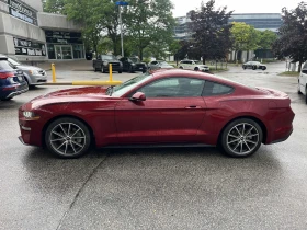 Ford Mustang EcoBoost / ПРОГНОЗНА ЦЕНА до БГ, снимка 2