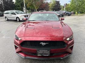 Ford Mustang EcoBoost / ПРОГНОЗНА ЦЕНА до БГ, снимка 6