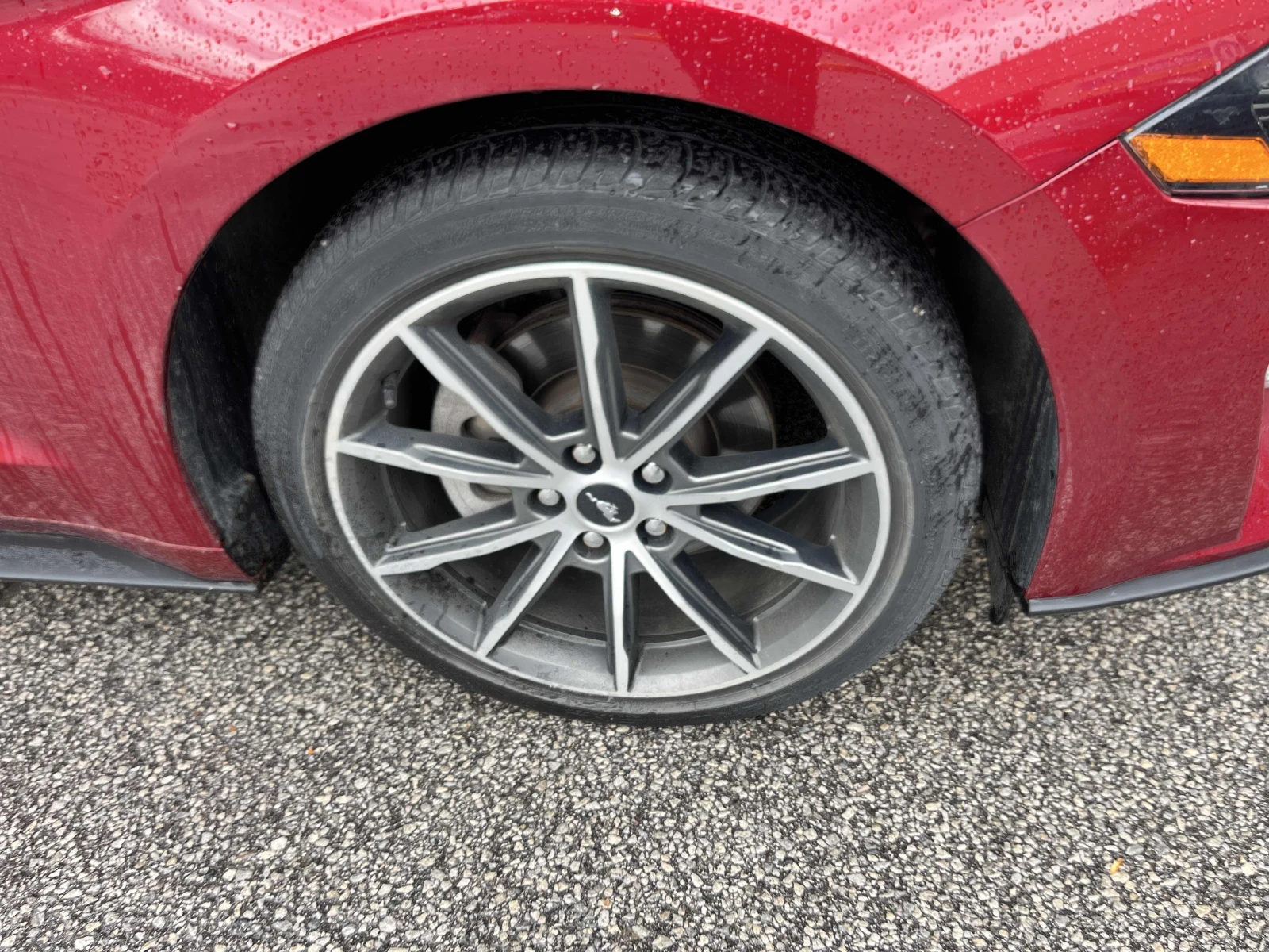 Ford Mustang EcoBoost / ПРОГНОЗНА ЦЕНА до БГ, снимка 7 - Автомобили и джипове - 55676263