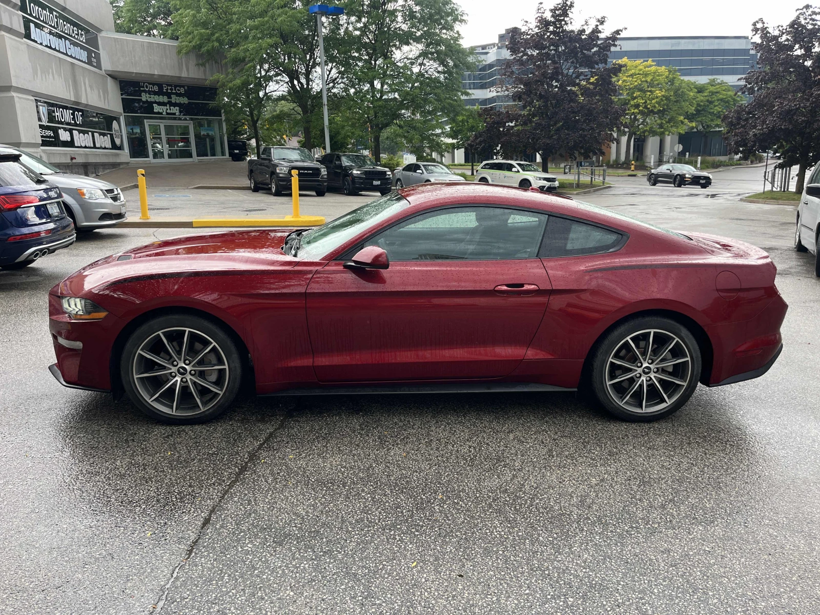 Ford Mustang EcoBoost / ПРОГНОЗНА ЦЕНА до БГ, снимка 2 - Автомобили и джипове - 55676263