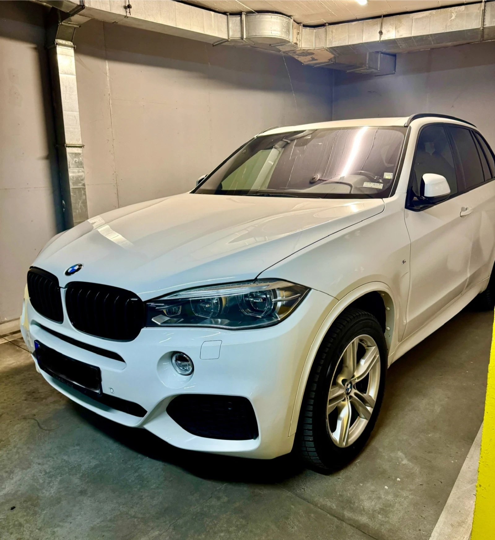 BMW X5 M-Packet xDrive 4.0D N1 - изображение 10