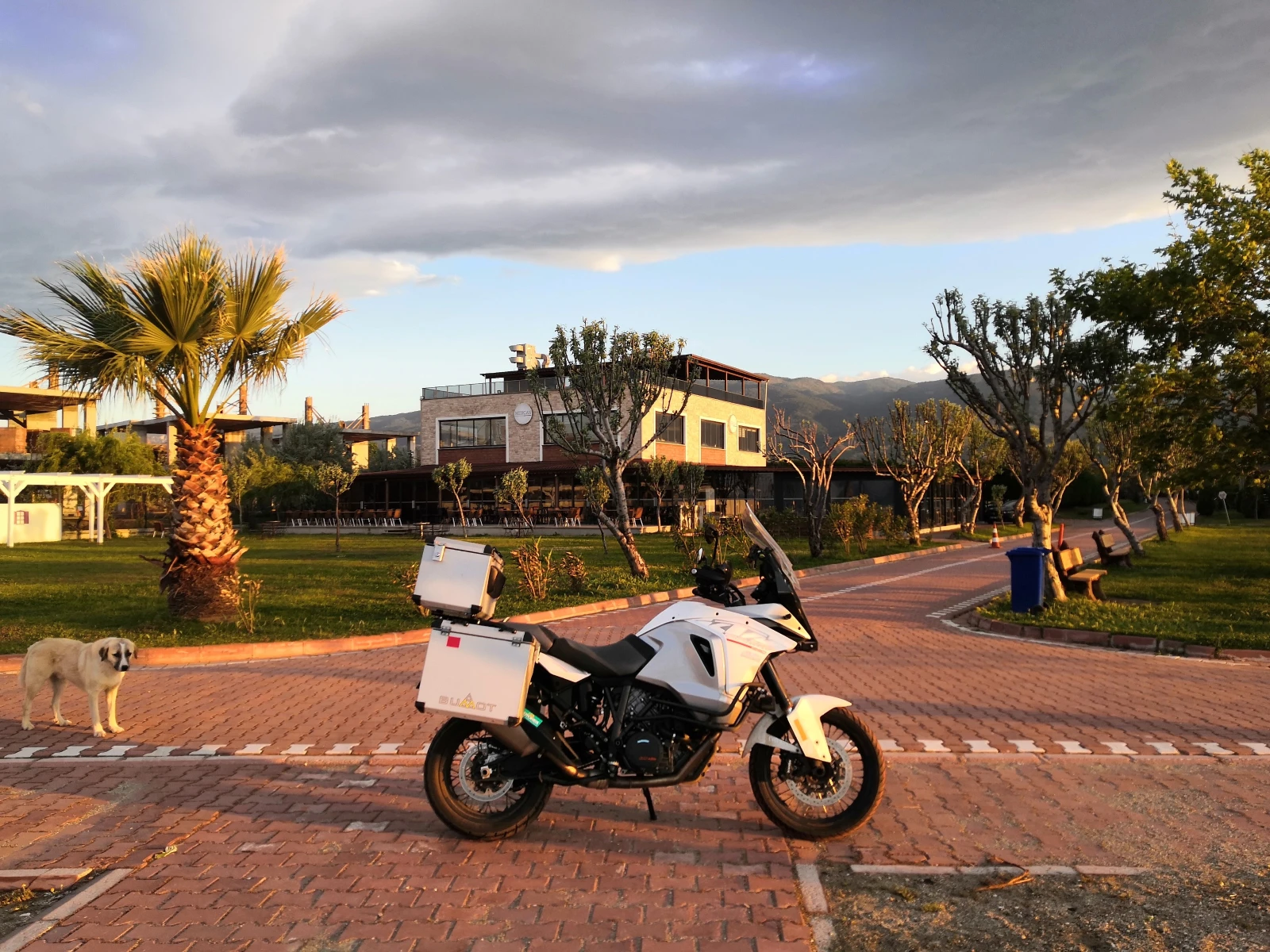 Ktm Adventure 1290 Super Adventure - изображение 2