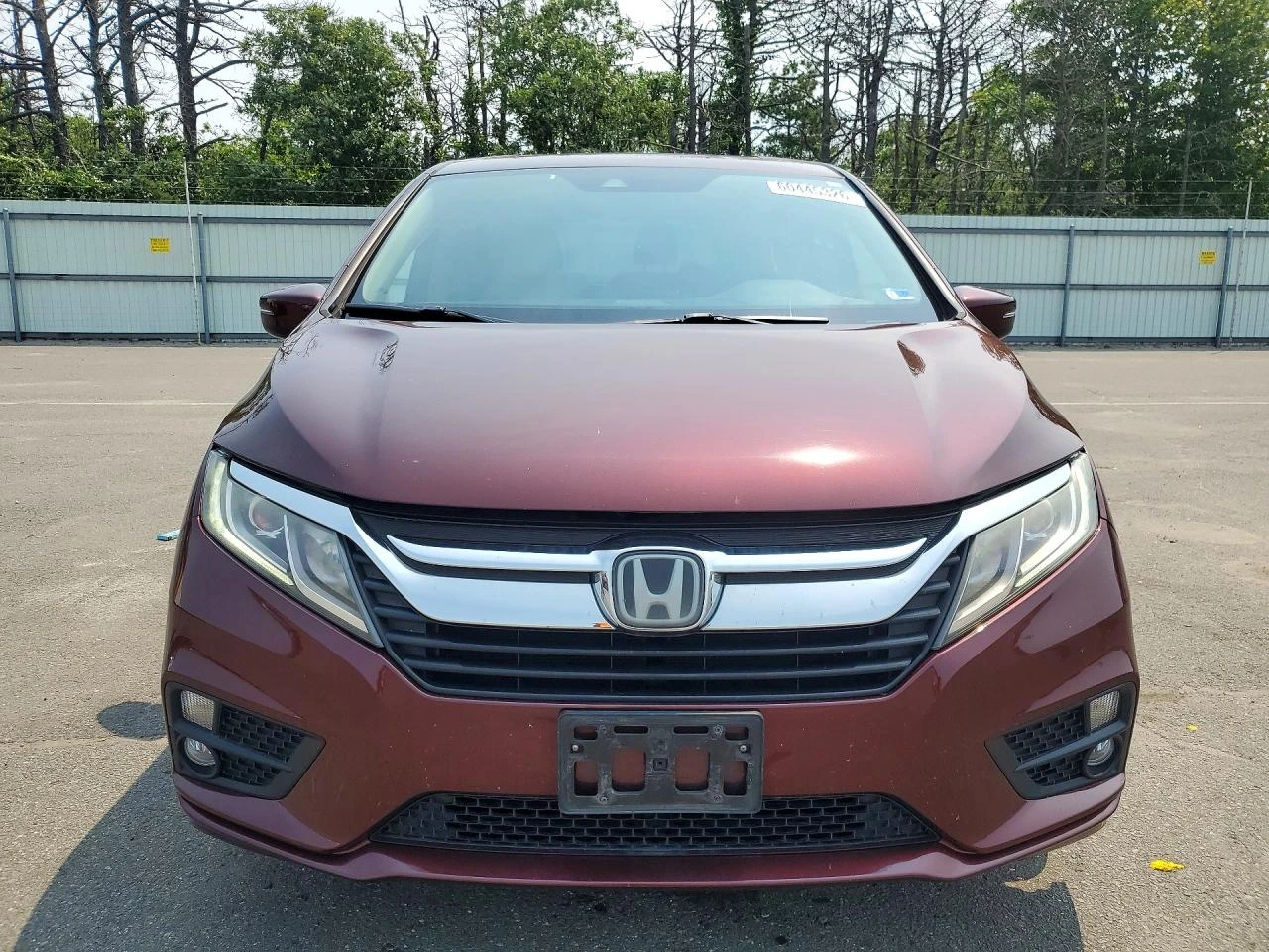 Honda Odyssey 3.5l Exl | Mobile.bg � ����������� 5