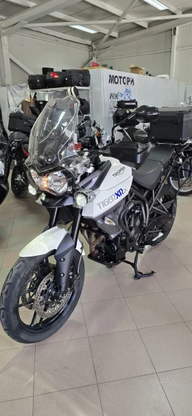  Triumph Tiger