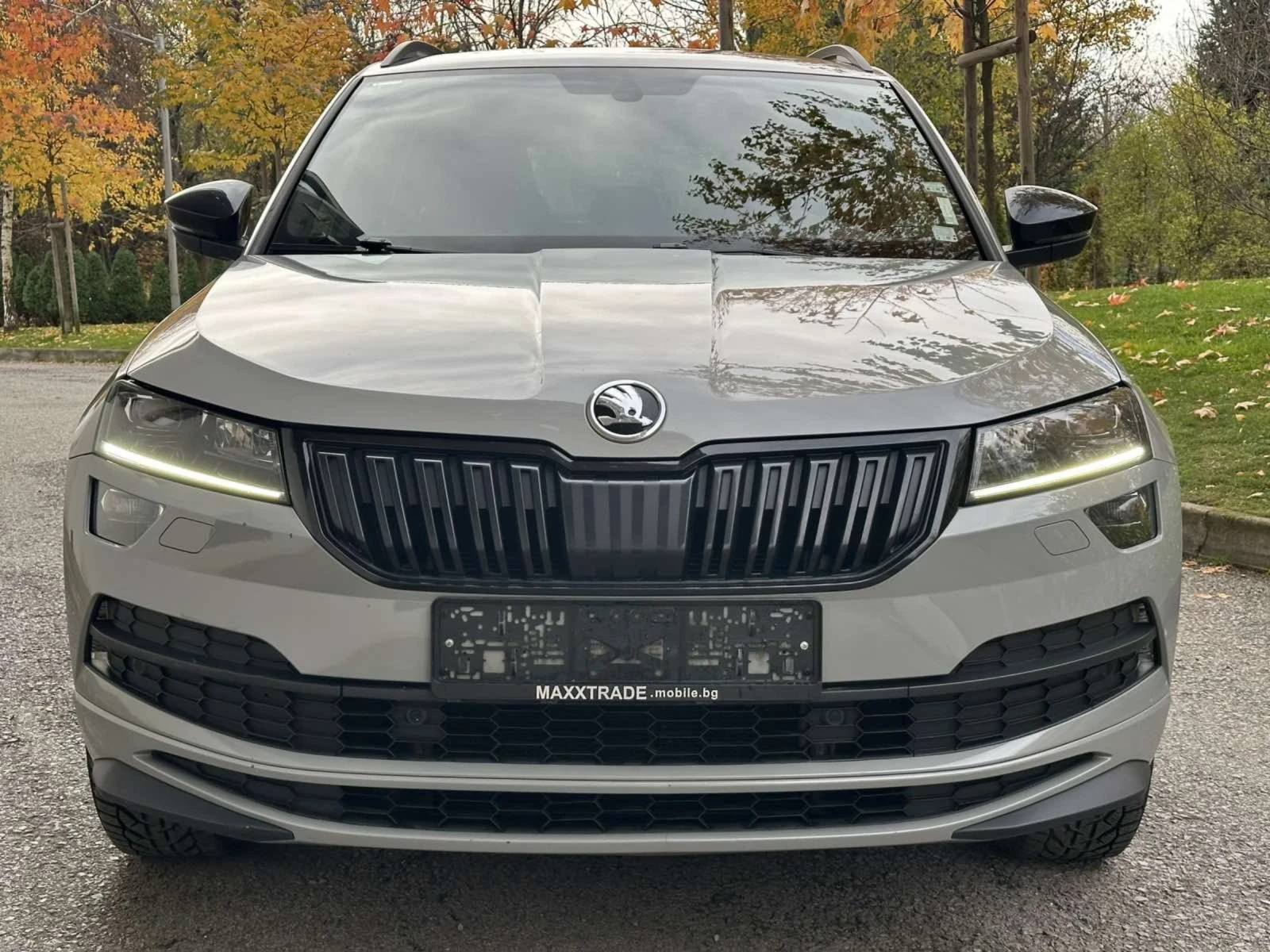 Skoda Karoq 1.5TSI | Mobile.bg   2