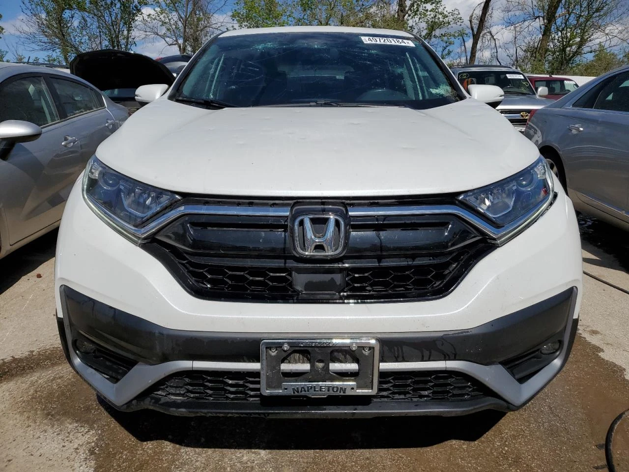 Honda Cr-v EXL - изображение 6