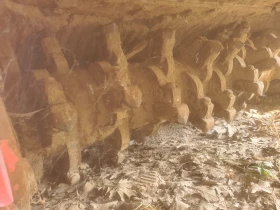 Фреза Друга марка Puma 150 Дълбочинна, снимка 4