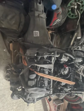 Двигарел, снимка 2