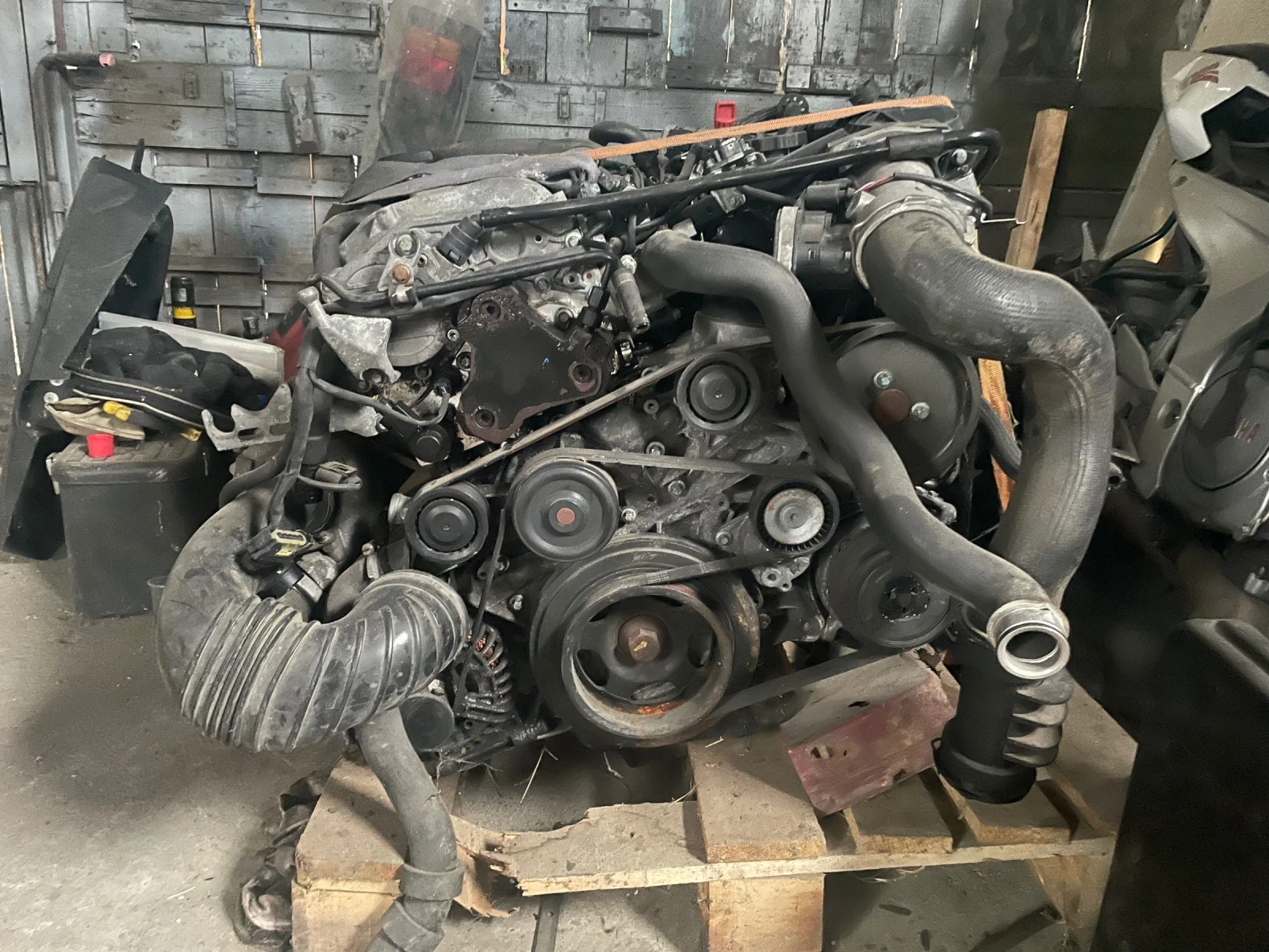 �������� | Mobile.bg � ����������� 1