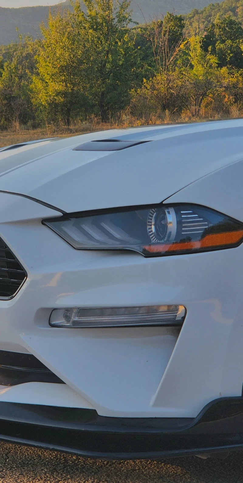 Ford Mustang GT/CS, снимка 6 - Автомобили и джипове - 51851492