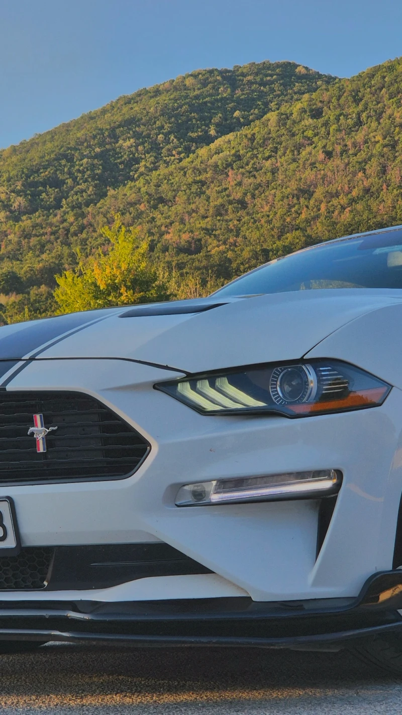 Ford Mustang GT/CS, снимка 4 - Автомобили и джипове - 51851492